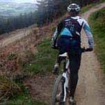 Mountain Biking in Glentress