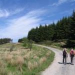 Galloway Forest Park