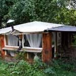 Gimmie Shelter