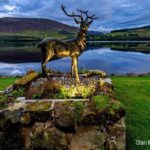 Stan the Stag, Loch Earn, Briar Cottages, Dave Murray_featured