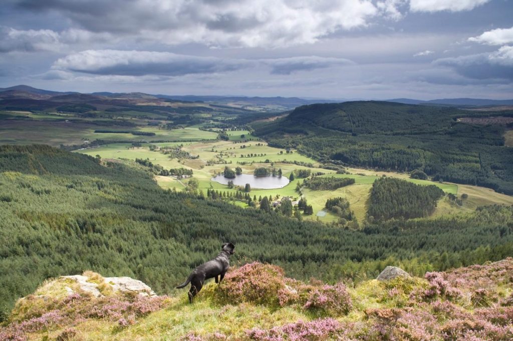 Photo from the ridge, Straloch Highland Retreats by John MacPherson
