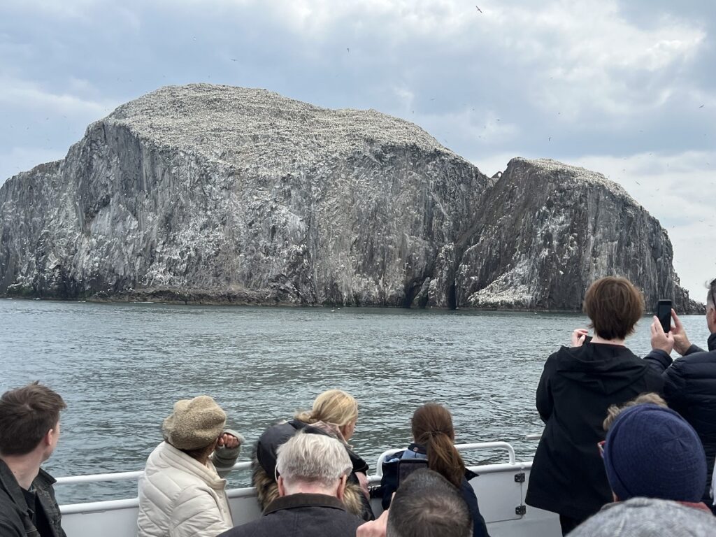 Bass Rock, Sula Boat Trips