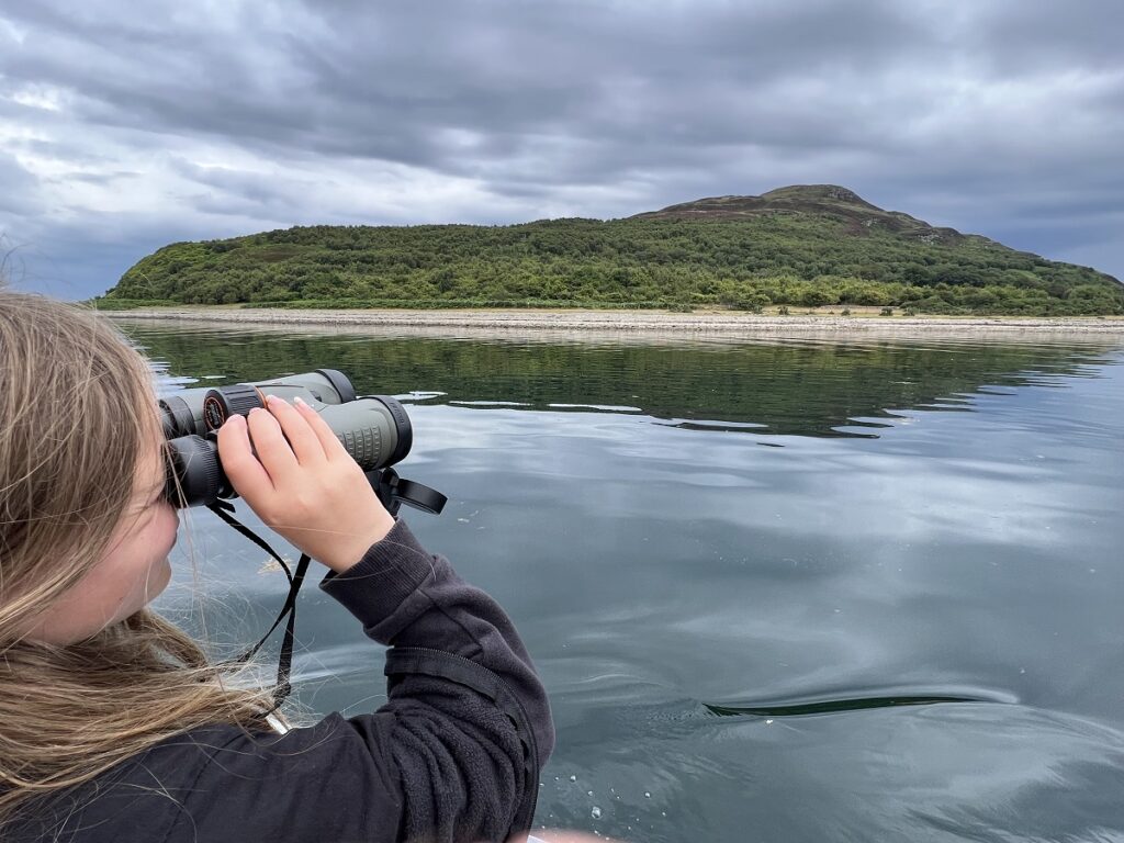 Wildlife spotting on a boat trip with Lamlash Cruises