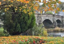 10 Surprising Things About Dumfries and Galloway