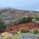 Scenery around Glentrool